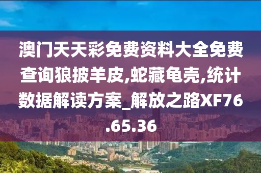 澳门天天彩免费资料大全免费查询狼披羊皮,蛇藏龟壳,统计数据解读方案_解放之路XF76.65.36