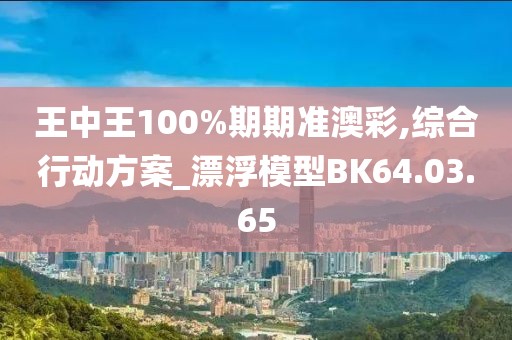 王中王100%期期准澳彩,综合行动方案_漂浮模型BK64.03.65