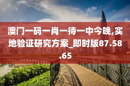 澳门一码一肖一待一中今晚,实地验证研究方案_即时版87.58.65