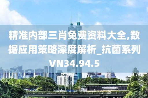 精准内部三肖免费资料大全,数据应用策略深度解析_抗菌系列VN34.94.5