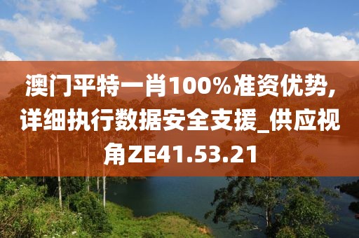 澳门平特一肖100%准资优势,详细执行数据安全支援_供应视角ZE41.53.21