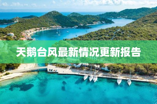 天鹅台风最新情况更新报告