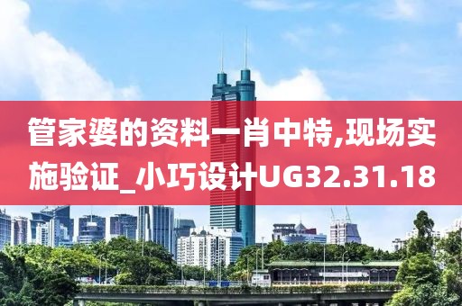 管家婆的资料一肖中特,现场实施验证_小巧设计UG32.31.18