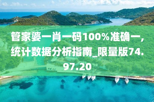 管家婆一肖一码100%准确一,统计数据分析指南_限量版74.97.20