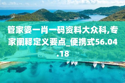 管家婆一肖一码资料大众科,专家阐释定义要点_便携式56.04.18