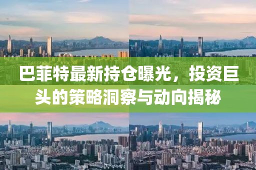 巴菲特最新持仓曝光，投资巨头的策略洞察与动向揭秘