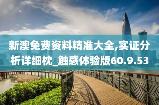 新澳免费资料精准大全,实证分析详细枕_触感体验版60.9.53