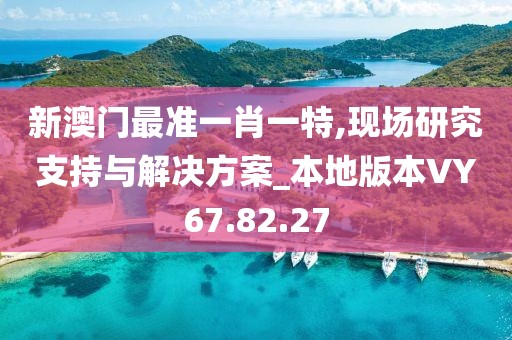 新澳门最准一肖一特,现场研究支持与解决方案_本地版本VY67.82.27