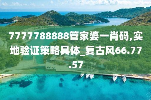 7777788888管家婆一肖码,实地验证策略具体_复古风66.77.57