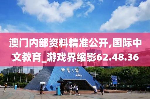 澳门内部资料精准公开,国际中文教育_游戏界缩影62.48.36