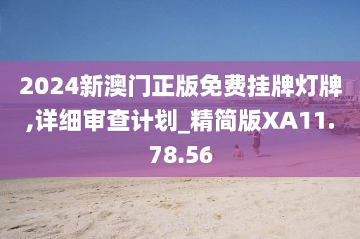 2024新澳门正版免费挂牌灯牌,详细审查计划_精简版XA11.78.56