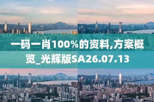 一码一肖100%的资料,方案概览_光辉版SA26.07.13