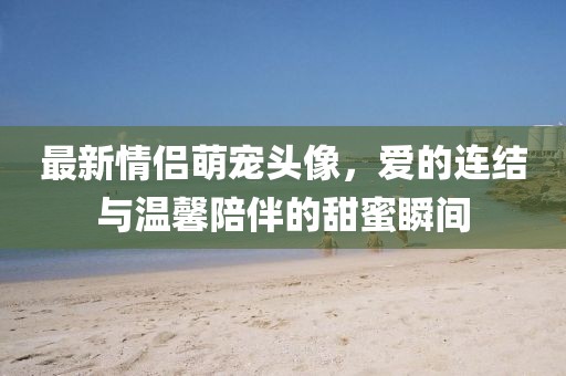 最新情侣萌宠头像，爱的连结与温馨陪伴的甜蜜瞬间