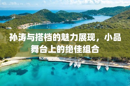 孙涛与搭档的魅力展现，小品舞台上的绝佳组合