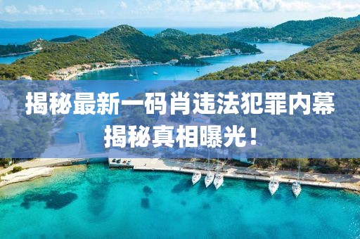 揭秘最新一码肖违法犯罪内幕揭秘真相曝光！