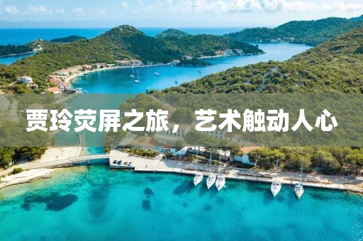 贾玲荧屏之旅，艺术触动人心