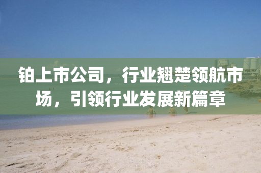 铂上市公司，行业翘楚领航市场，引领行业发展新篇章