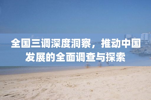 全国三调深度洞察，推动中国发展的全面调查与探索