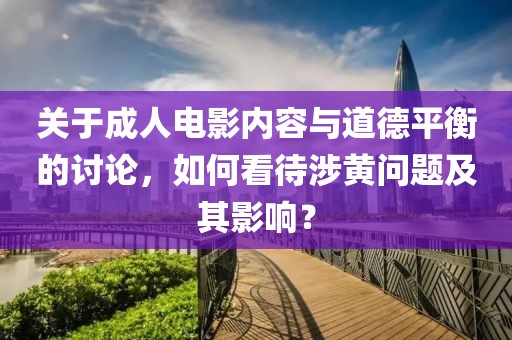 关于成人电影内容与道德平衡的讨论，如何看待涉黄问题及其影响？