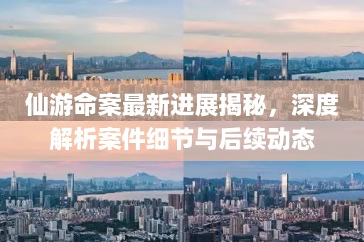 仙游命案最新进展揭秘，深度解析案件细节与后续动态
