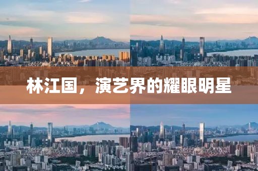 林江国，演艺界的耀眼明星