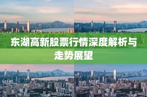 东湖高新股票行情深度解析与走势展望