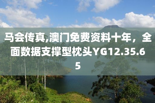 马会传真,澳门免费资料十年，全面数据支撑型枕头YG12.35.65