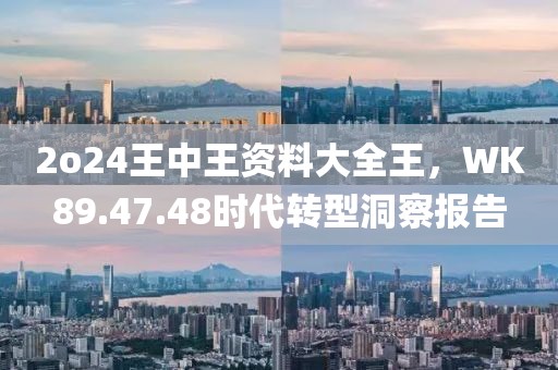 2o24王中王资料大全王，WK89.47.48时代转型洞察报告