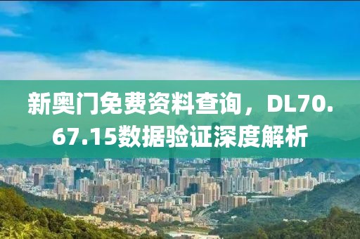 新奥门免费资料查询，DL70.67.15数据验证深度解析