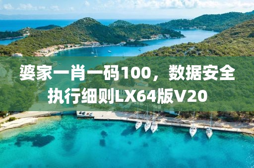 婆家一肖一码100，数据安全执行细则LX64版V20