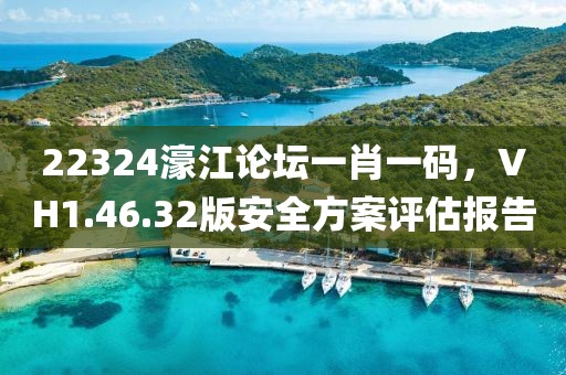 22324濠江论坛一肖一码，VH1.46.32版安全方案评估报告