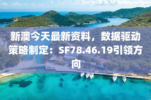 新澳今天最新资料，数据驱动策略制定：SF78.46.19引领方向