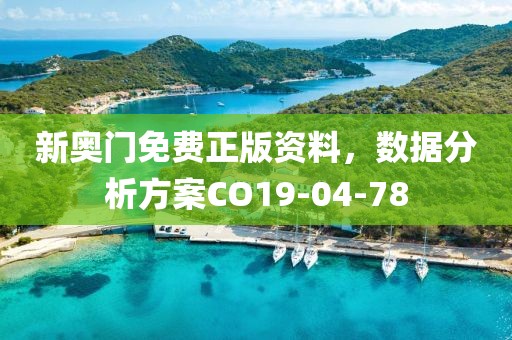 新奥门免费正版资料，数据分析方案CO19-04-78