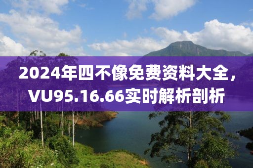 2024年四不像免费资料大全，VU95.16.66实时解析剖析