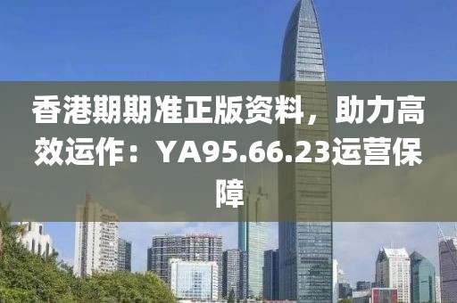 香港期期准正版资料，助力高效运作：YA95.66.23运营保障