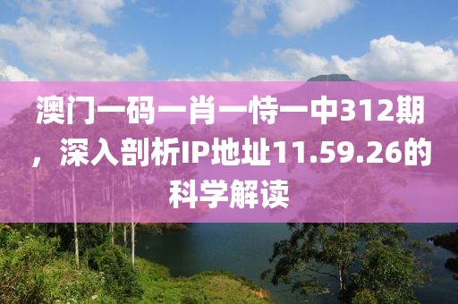 澳门一码一肖一恃一中312期，深入剖析IP地址11.59.26的科学解读