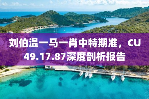 刘伯温一马一肖中特期准，CU49.17.87深度剖析报告