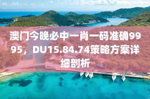 澳门今晚必中一肖一码准确9995，DU15.84.74策略方案详细剖析