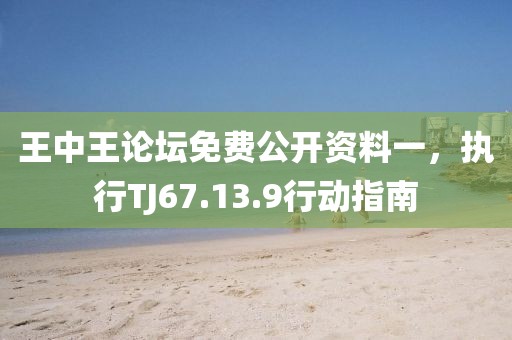 王中王论坛免费公开资料一，执行TJ67.13.9行动指南