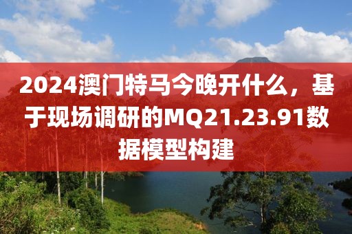 2024澳门特马今晚开什么，基于现场调研的MQ21.23.91数据模型构建
