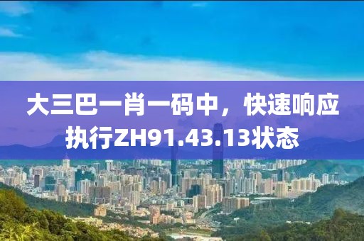 大三巴一肖一码中，快速响应执行ZH91.43.13状态