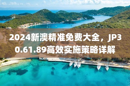 2024新澳精准免费大全，JP30.61.89高效实施策略详解