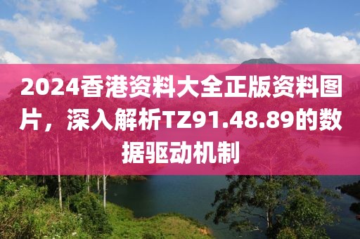 2024香港资料大全正版资料图片，深入解析TZ91.48.89的数据驱动机制