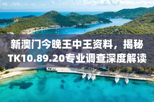 新澳门今晚王中王资料，揭秘TK10.89.20专业调查深度解读