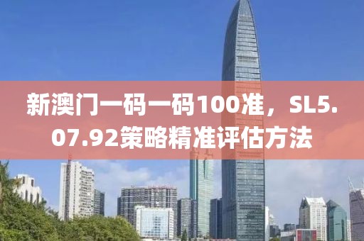 新澳门一码一码100准，SL5.07.92策略精准评估方法