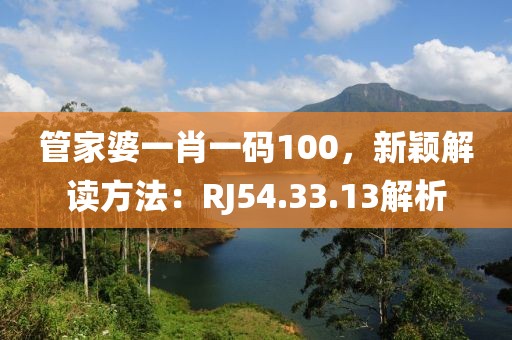 管家婆一肖一码100，新颖解读方法：RJ54.33.13解析