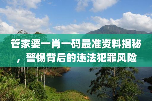 管家婆一肖一码最准资料揭秘，警惕背后的违法犯罪风险