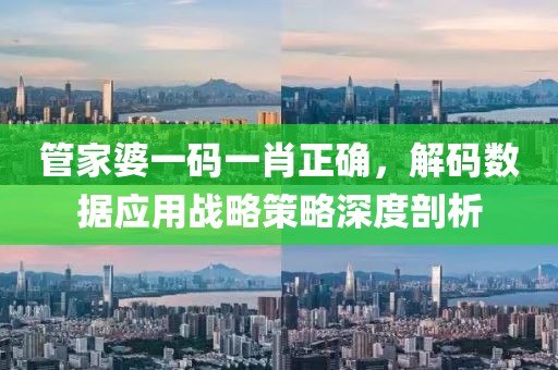 管家婆一码一肖正确，解码数据应用战略策略深度剖析