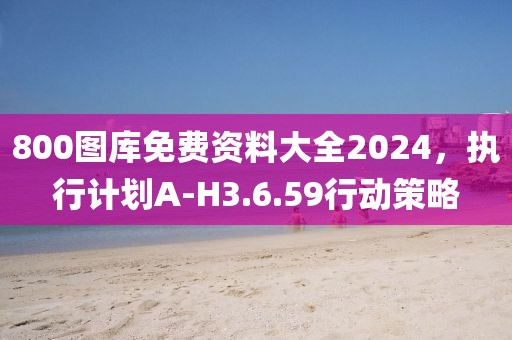 800图库免费资料大全2024，执行计划A-H3.6.59行动策略