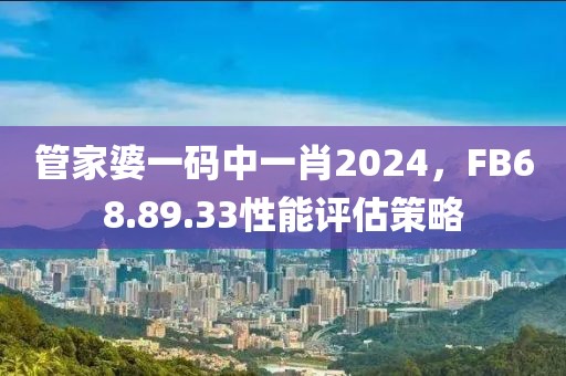管家婆一码中一肖2024，FB68.89.33性能评估策略